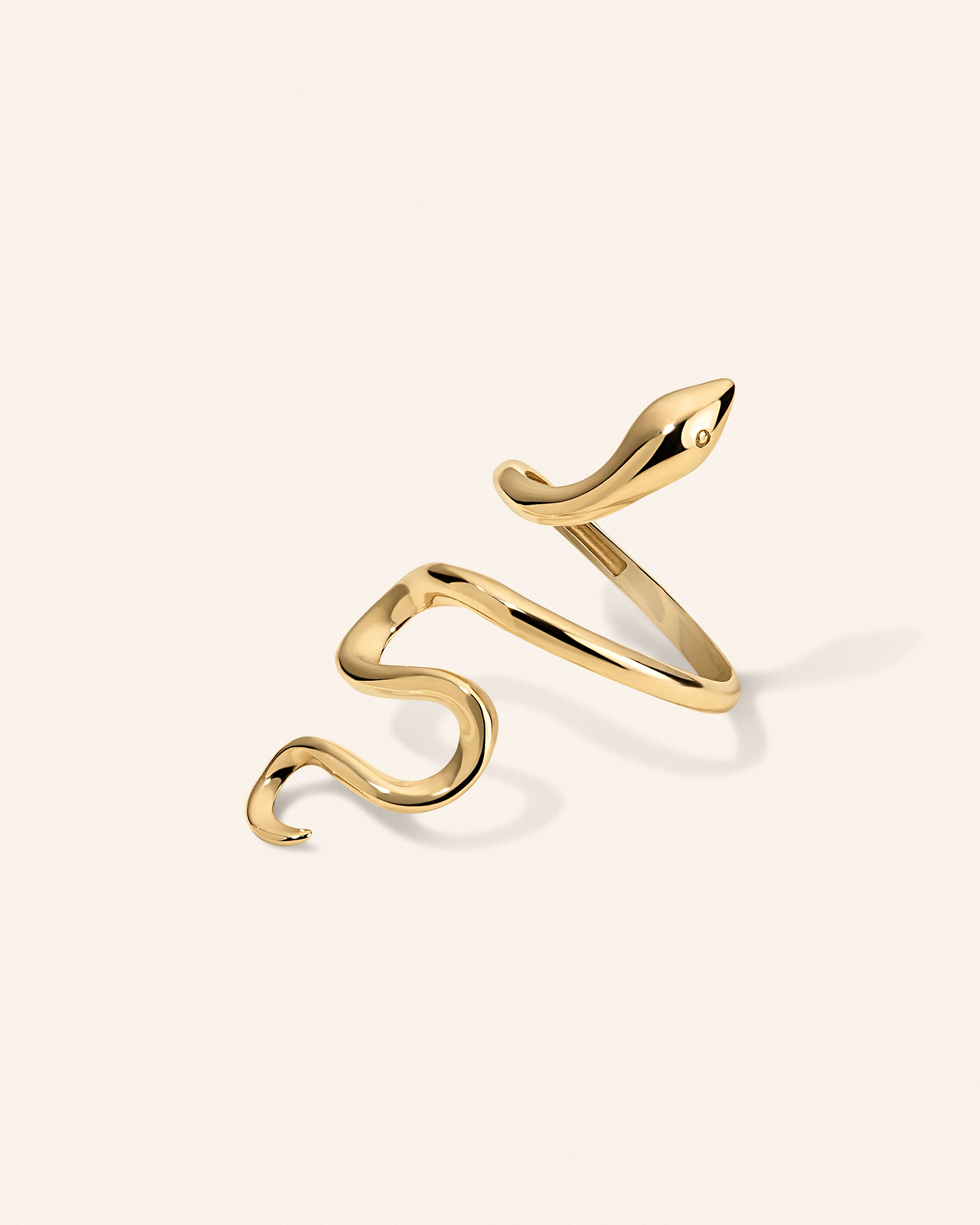 Serpent Ring – additional view