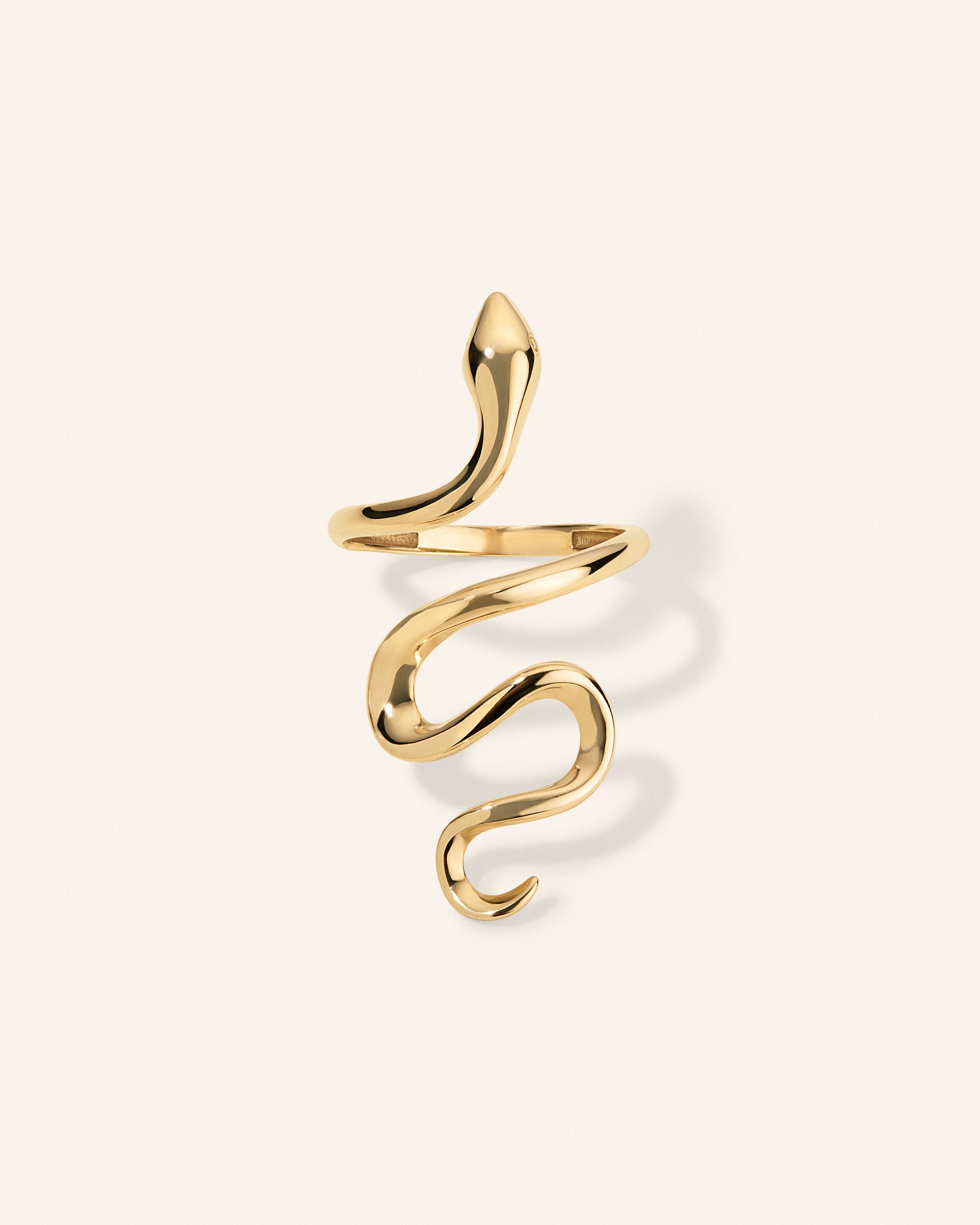 Serpent Ring – product view